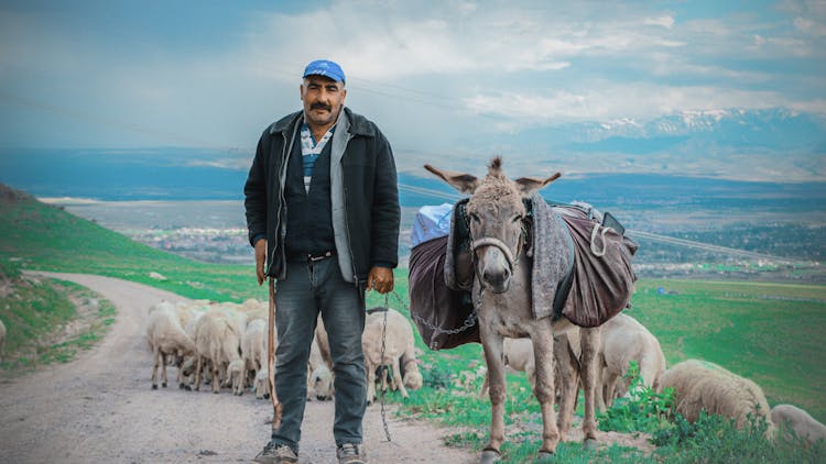 Man Standing Next To A Donkey 