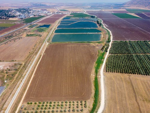 Bird's-eye View of Fields