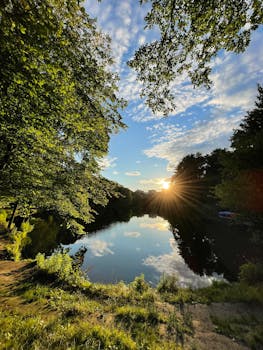 Sunrise casting light over a calm lake surrounded by lush trees, creating a serene landscape.