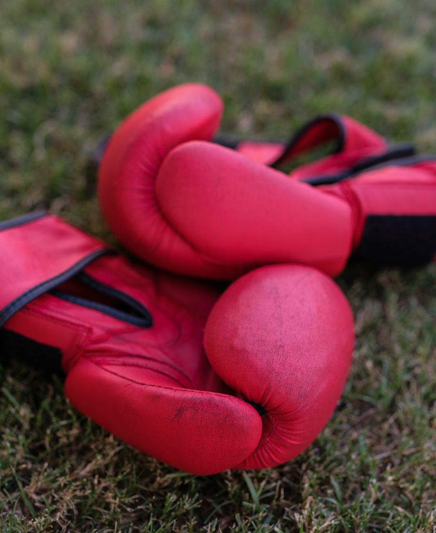 Competition Boxing Gloves alternate view