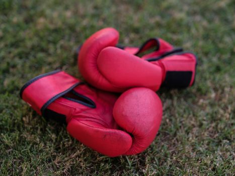 Canadian Boxer Scarlett Delgado Wins Silver at Commonwealth Games