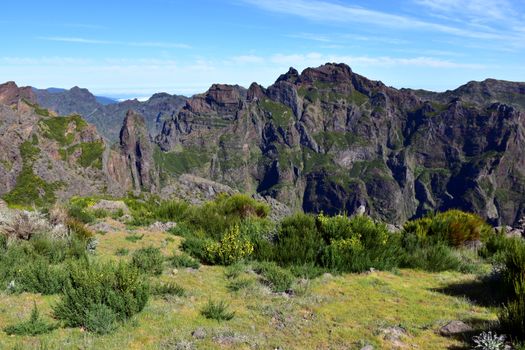 The Ridge
