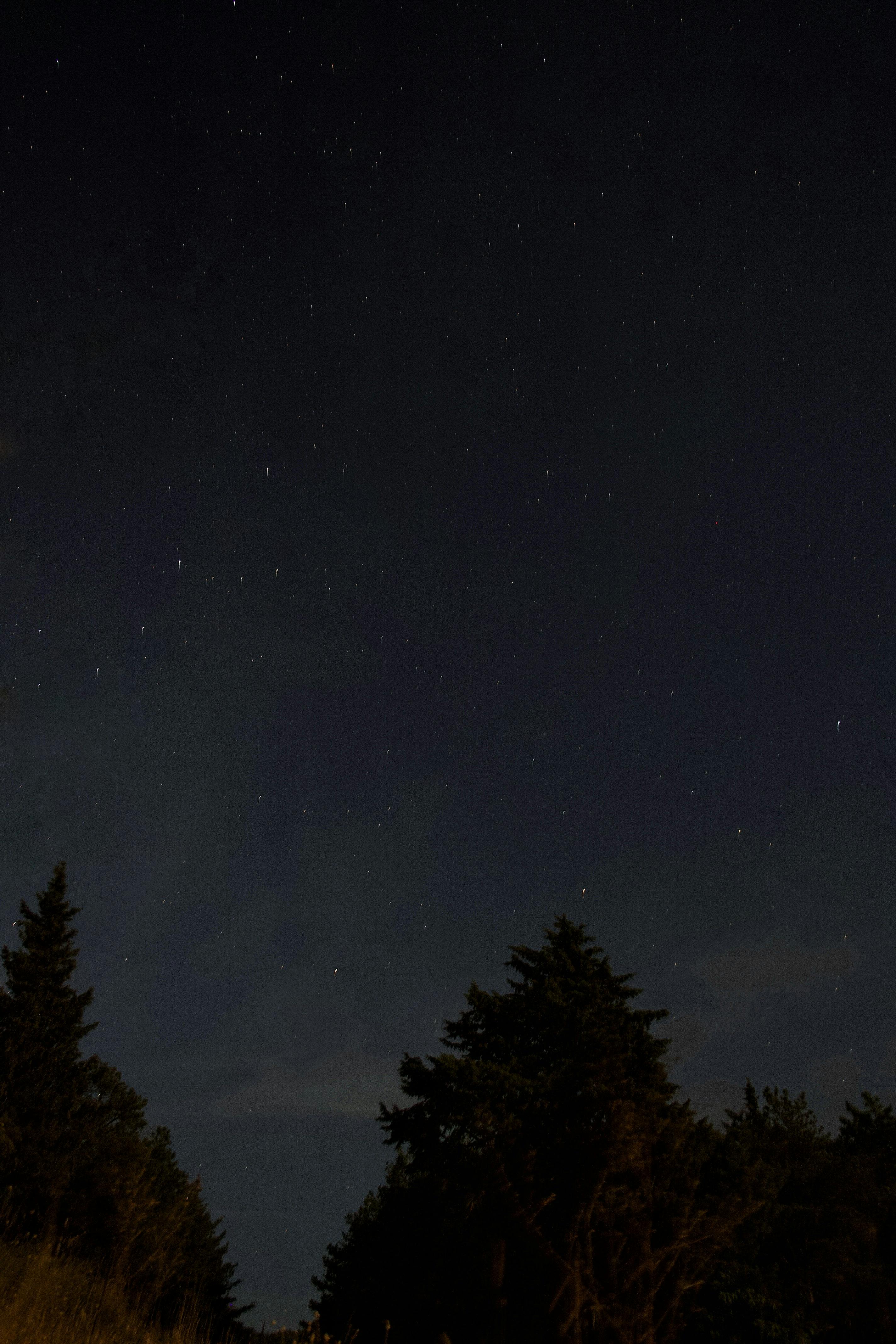 Free Stock Photo of Starry sky | Download Free Images and