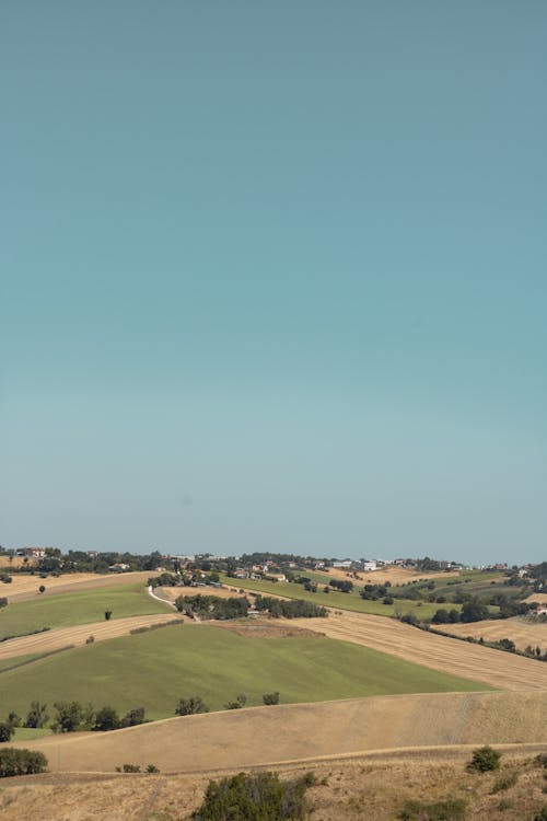Kostnadsfri bild av åkermark, bete, blå himmel