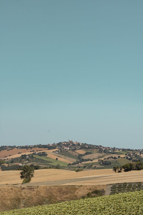 Rural Area with Fields on a Hill