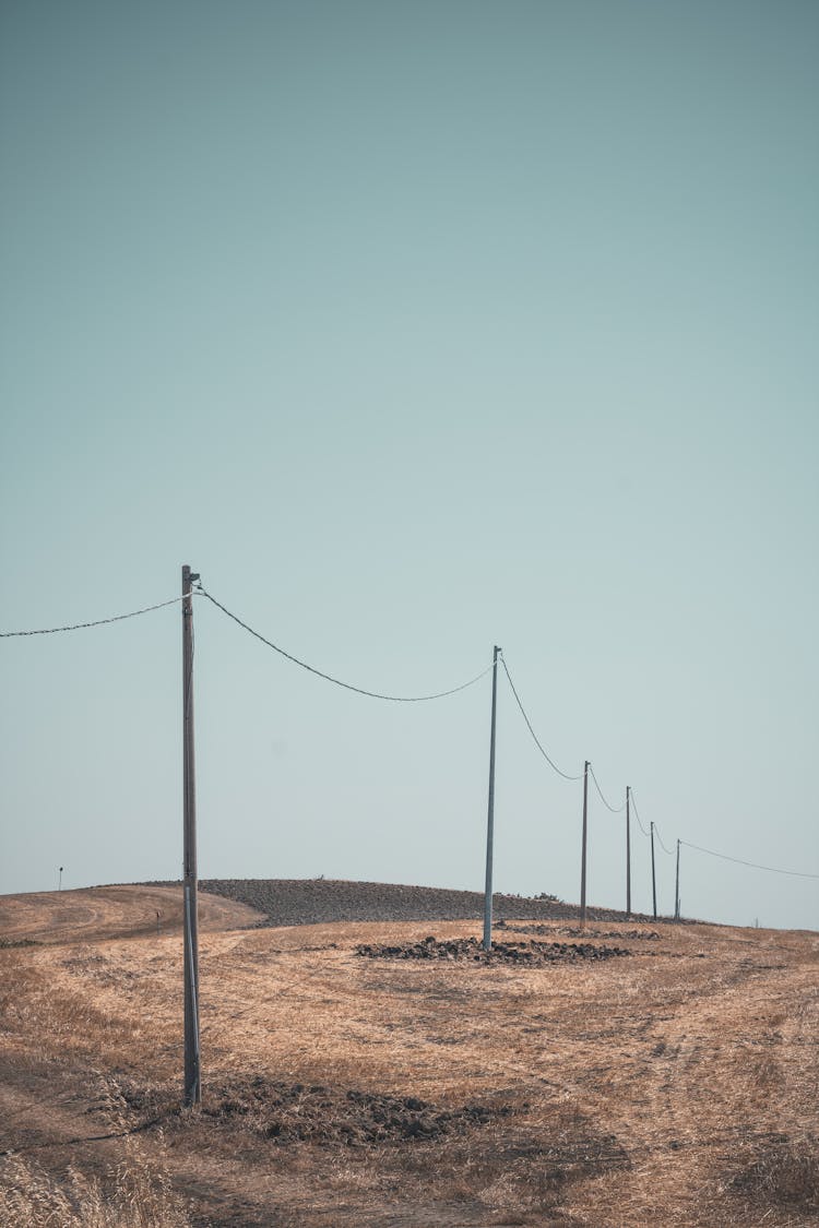 Electric Poles On Wasteland