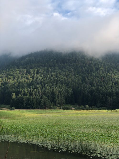 Fotobanka s bezplatnými fotkami na tému hmla, hora, jazero