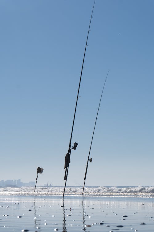 Fishing Rods on a Shore