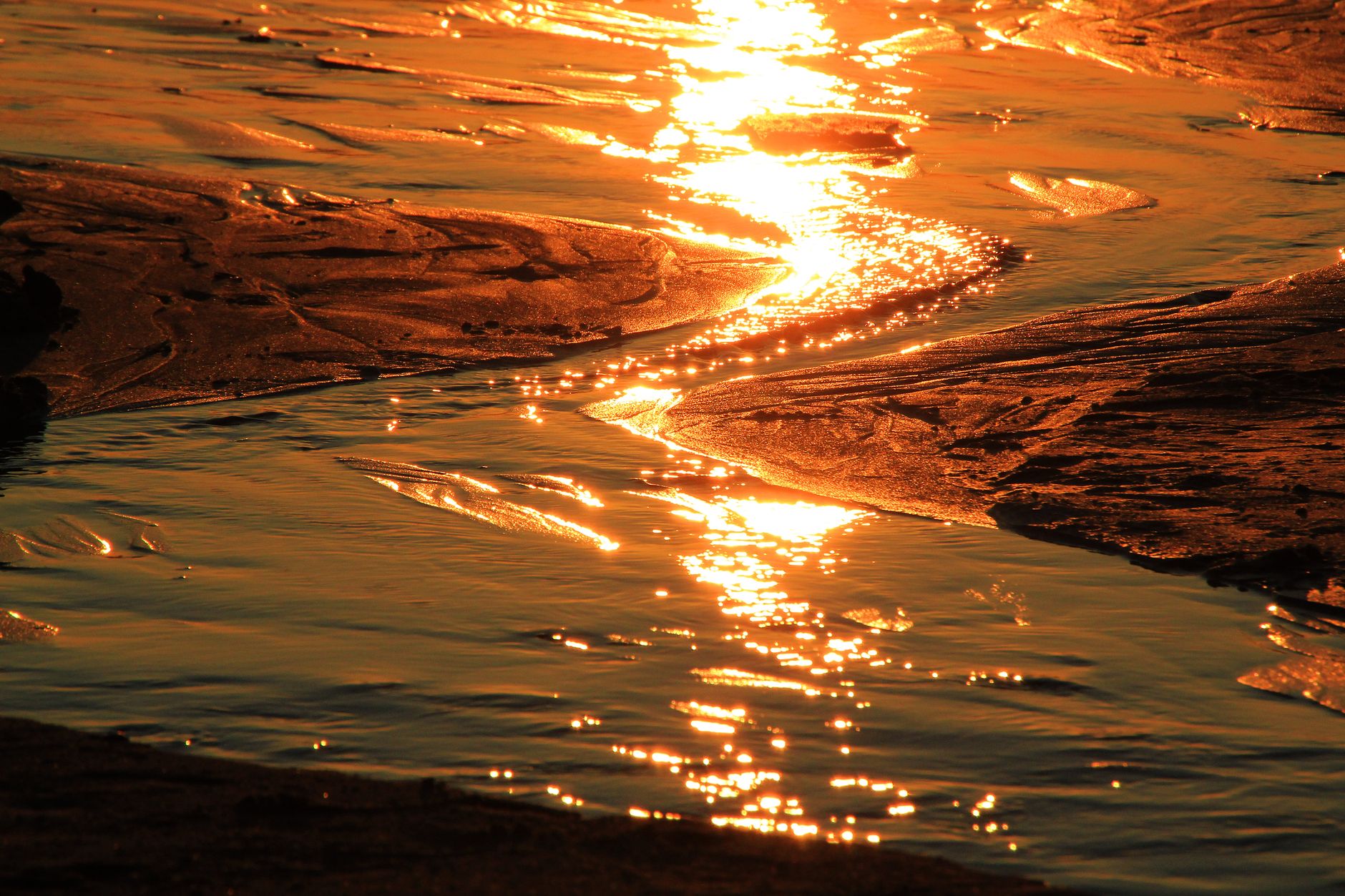 Capturing Golden Hour like a Pro
