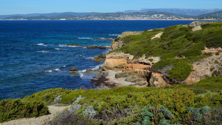 A breathtaking coastal scene with lush greenery, rugged cliffs, and a vast blue ocean.