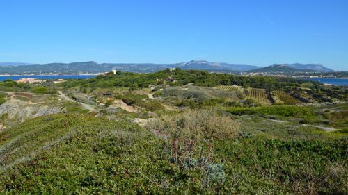 Free Beautiful landscape featuring mountains, vineyards, and a clear blue sky. Stock Photo