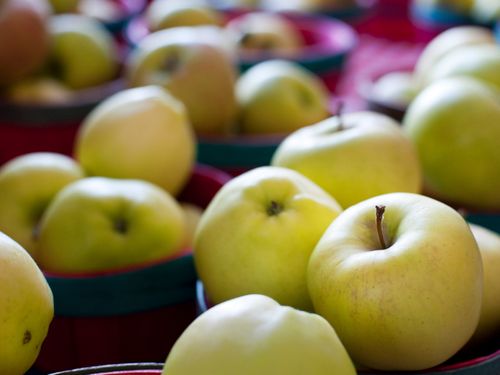 Free Close-up of freshly harvested organic golden apples in vibrant baskets. Stock Photo