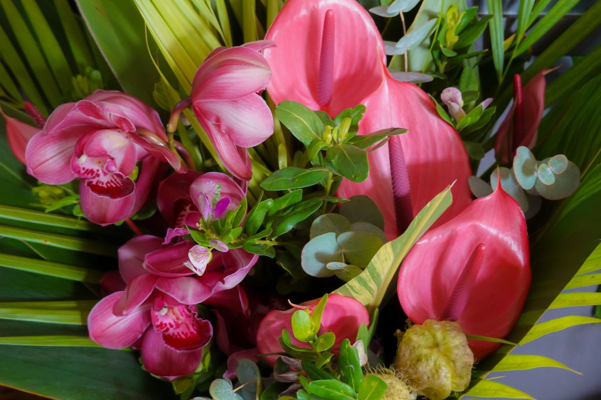 Tropical floral arrangement with orchids and exotic blooms