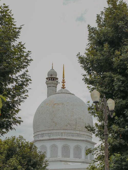 White Dome Building Near Green Trees