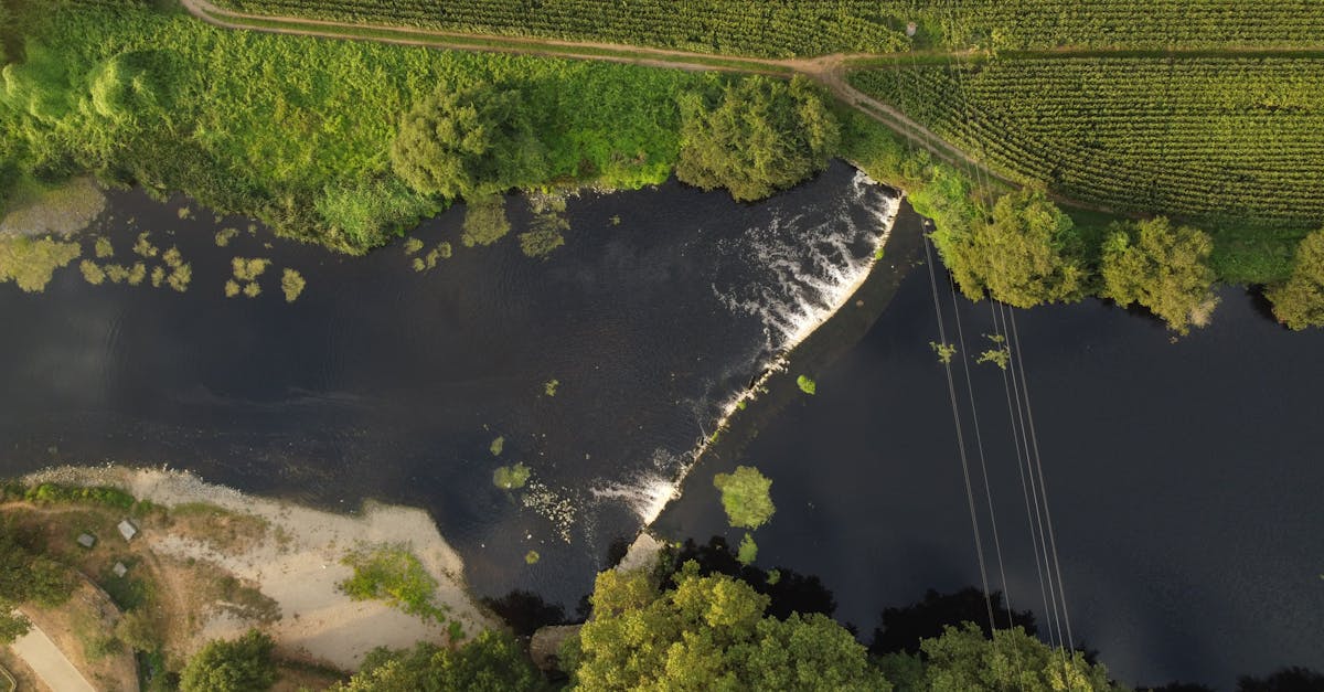 Paraguay: cómo evalúan inversores tierra, agua y logística en agronegocios Paraguay: cómo evalúan inversores tierra, agua y logística en agronegocios