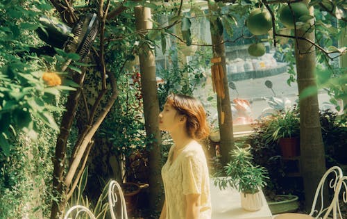 Ilmainen kuvapankkikuva tunnisteilla aasialainen nainen, hedelmälaakeri puu, henkilö Kuvapankkikuva