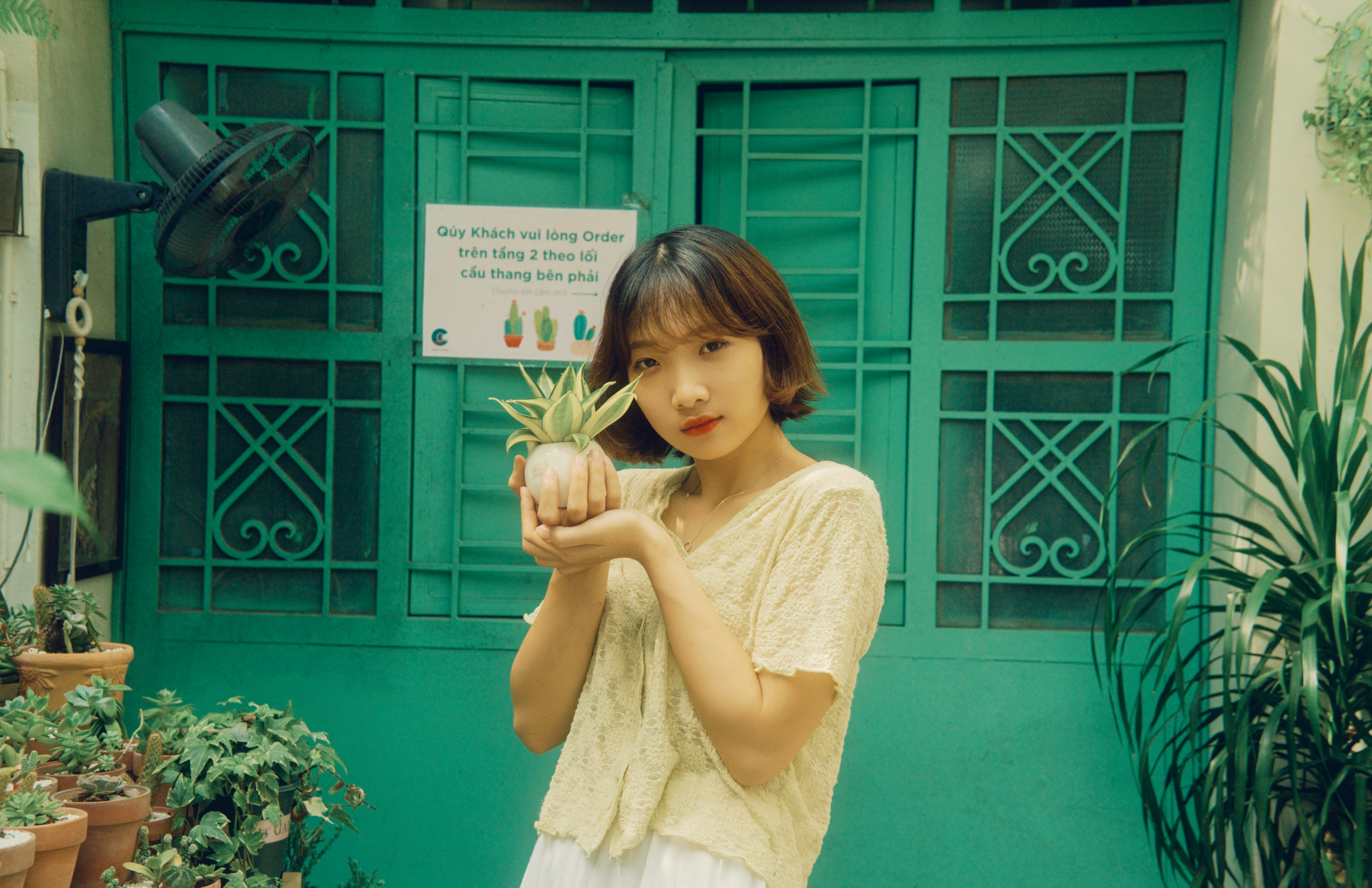 Woman Holding a Small Round Pot with Green Plant · Free Stock Photo