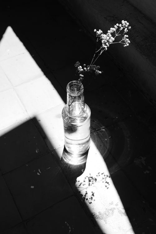 Free Minimalist black and white image of a glass bottle with flowers casting shadows. Stock Photo