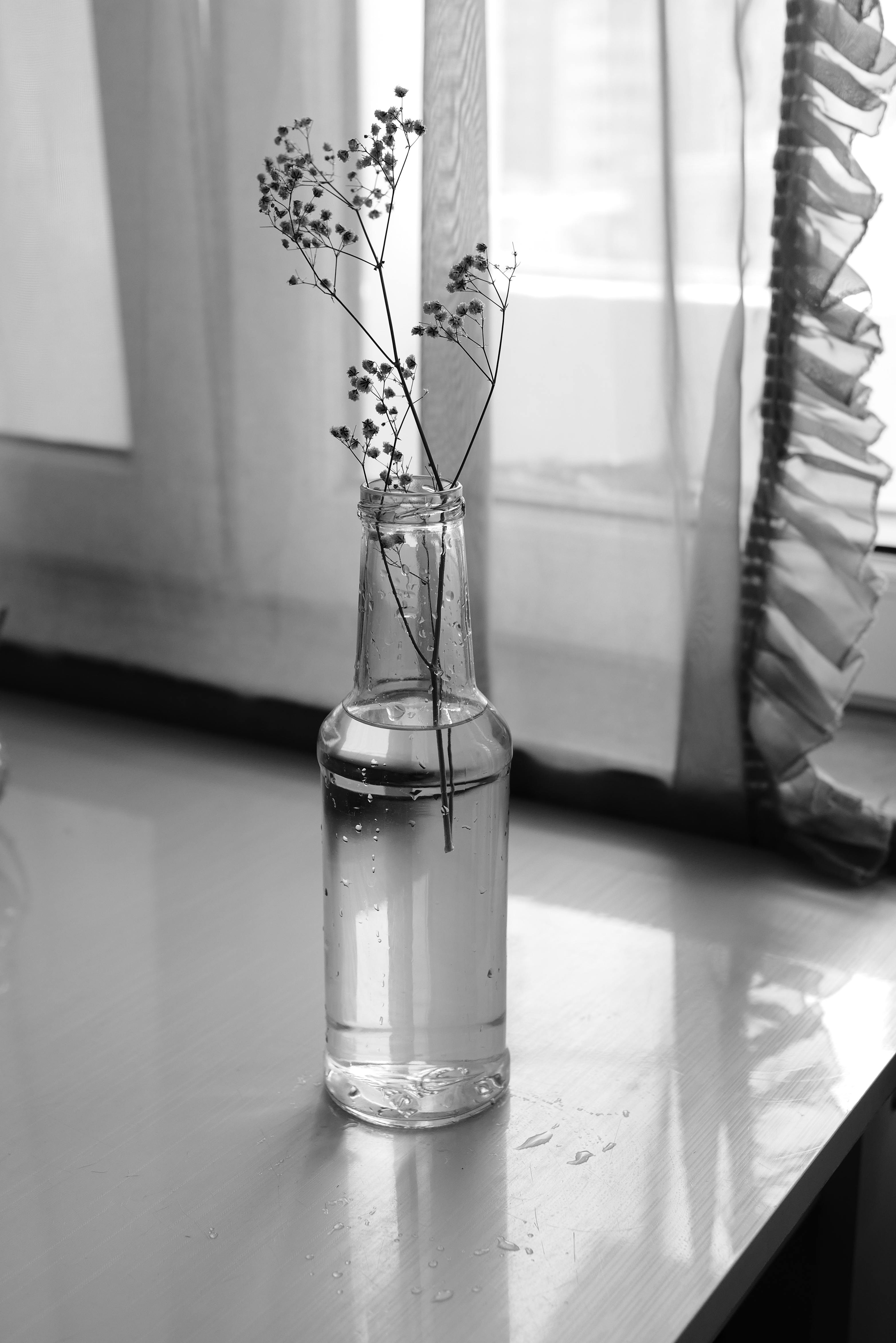 Elegant black and white photo of flowers in a glass vase on a table.