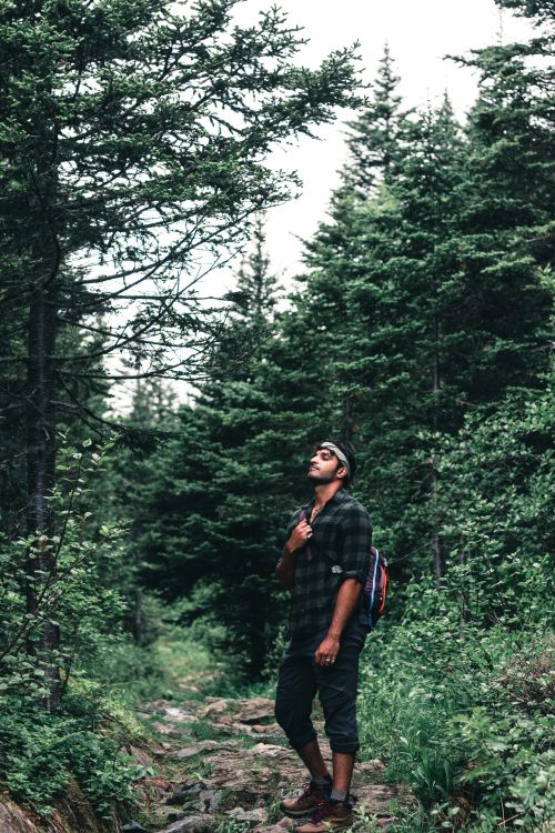 Guy In Nature Man Hiking in Forest · Free Stock Photo