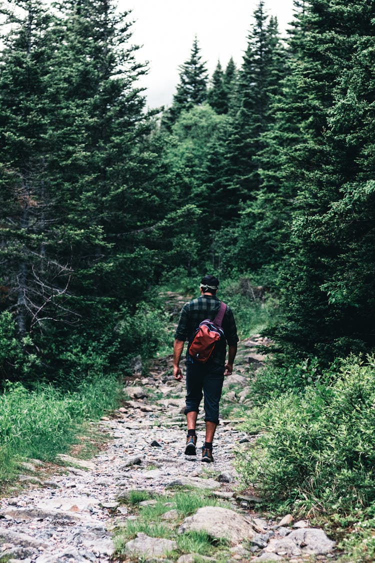 A Man Hiking In The Forest