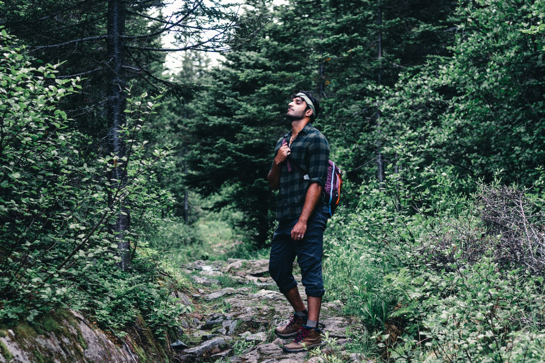 Man hiking on a forest trail, surrounded by lush greenery, embracing nature.