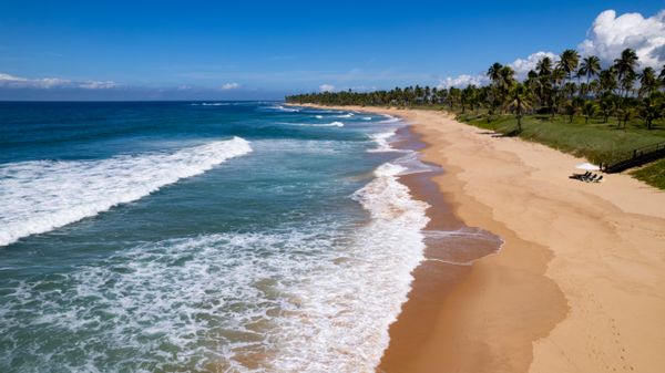 Cenário de praia tropical intocada com ondas e palmeiras sob o céu azul.