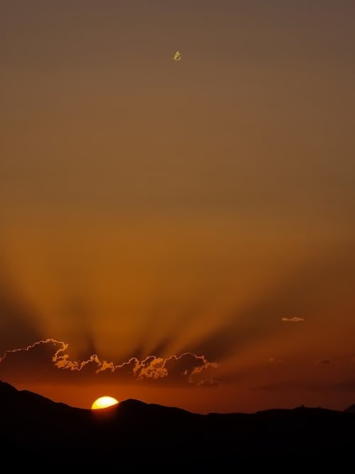 Imagine de stoc gratuită din apus, cer, fotografiere verticală