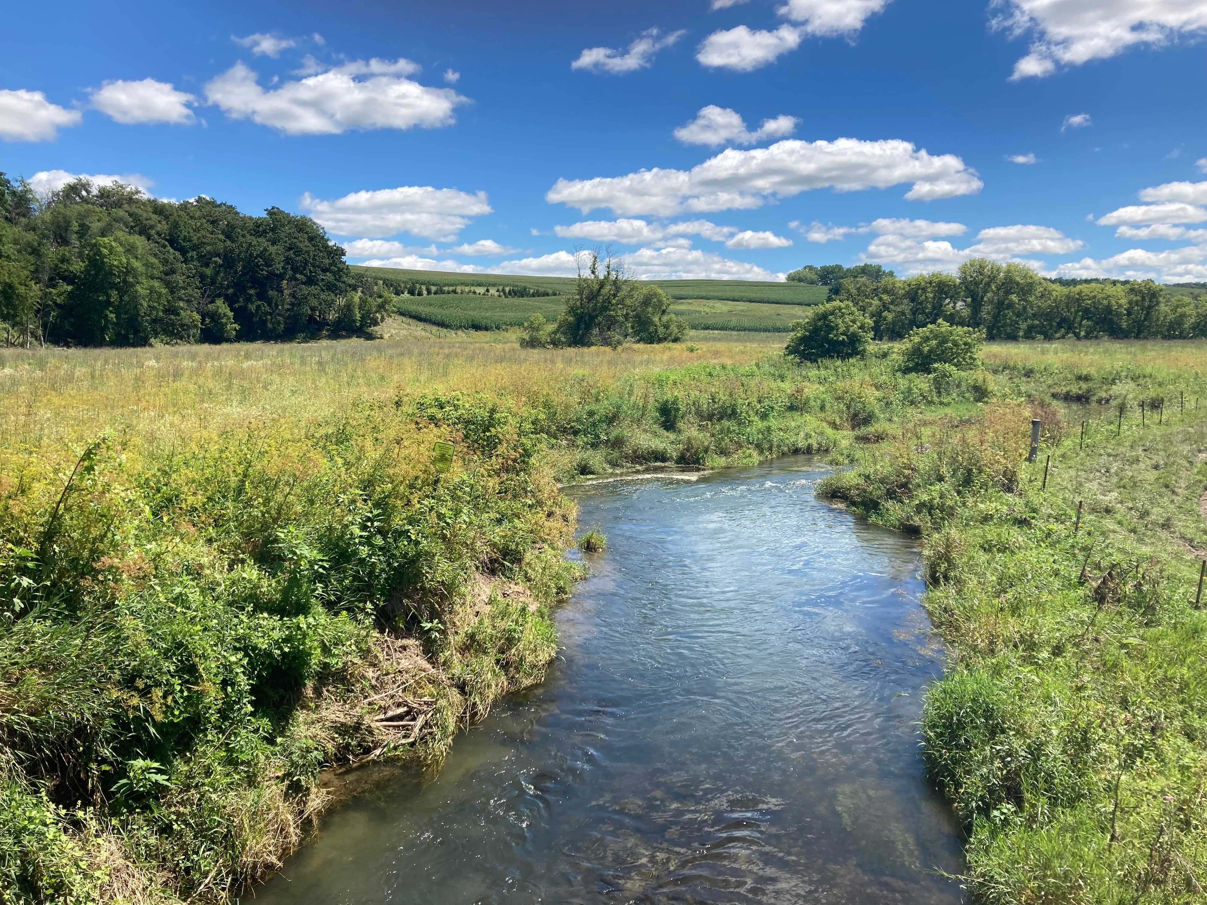 Meade County takes ownership of Otter Creek Outdoor Recreation Area for local stewardship — Photo by Sean Ewing on Pexels