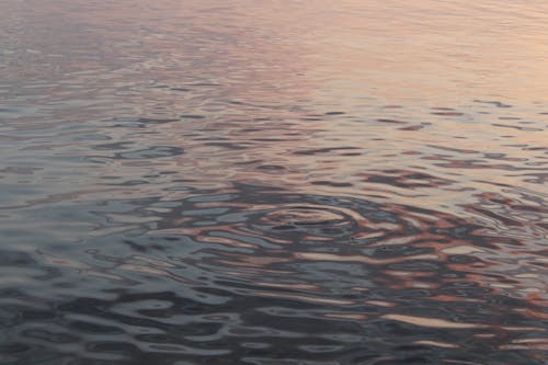 Ripples of Body of Water During Sunset 
