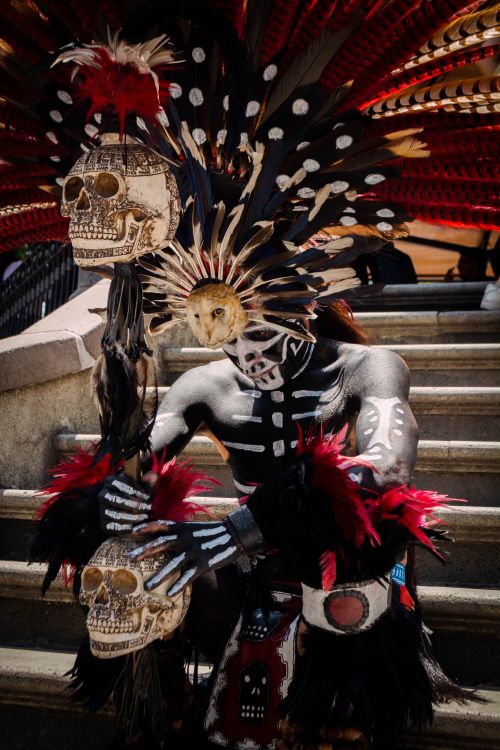Free A detailed portrait of a man in a skull-themed costume with face paint and feathered headdress on stairs. Stock Photo