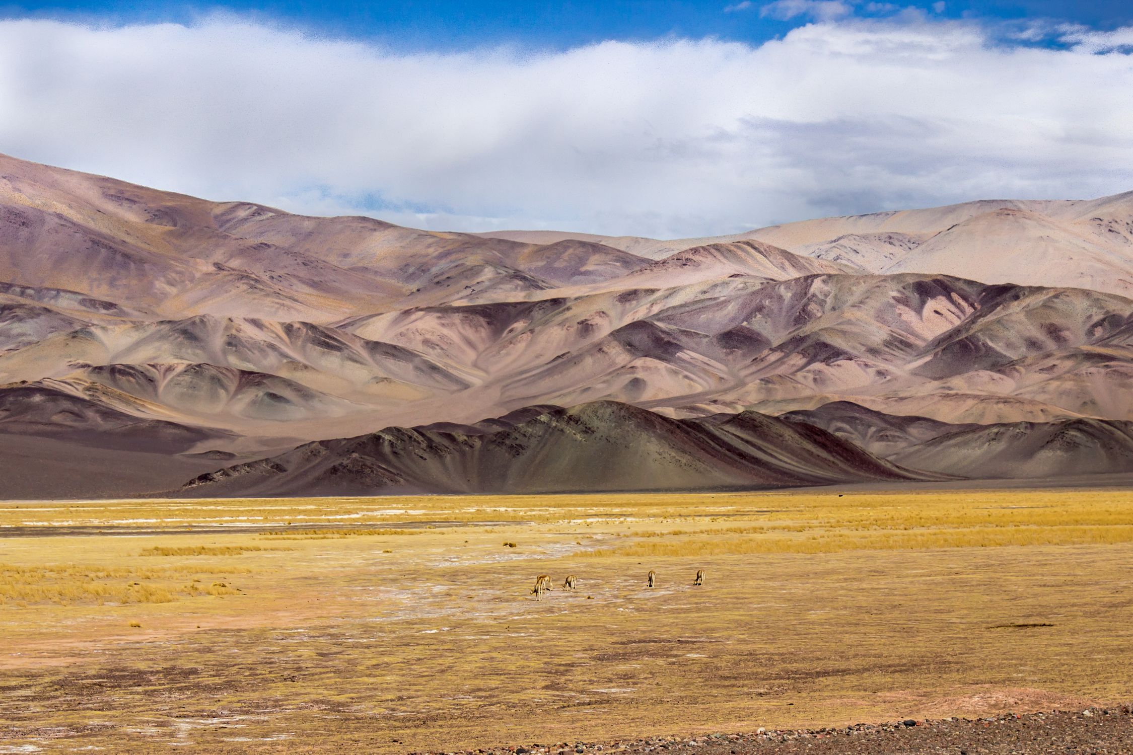 Landscape of Sandy Mountains · Free Stock Photo