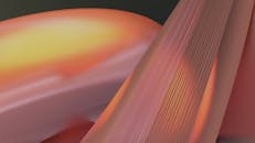 Close up of Yellow Shapes