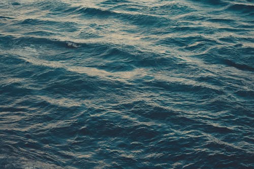 免費 海, 海洋, 潮汐 的 免費圖庫相片 圖庫相片
