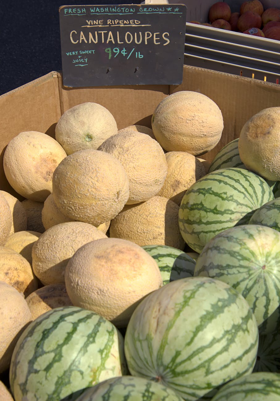 Getting Melons & Sweet Potatoes to Ripen in Short Summers: Microclimate Hacks, Early Varieties & Heat-Boosting Techniques