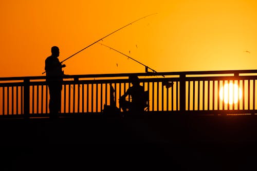 Ingyenes stockfotó férfiak, halászat, halászok témában