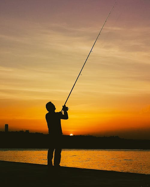 Ingyenes stockfotó emberek, fishman, nap témában