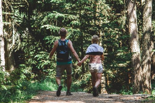 Free Couple holding hands walking through a lush forest trail in Valsavarenche, Italy. Stock Photo