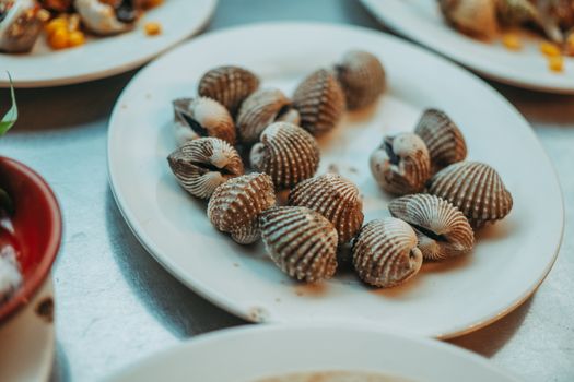 A close-up view of a ceramic plate filled with sea shells, creating a fresh seafood ambiance. - Fotografer Sidoarjo