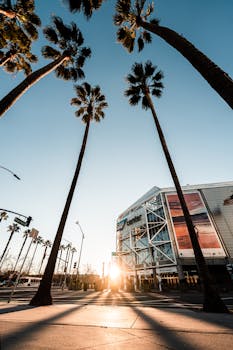 San Jose