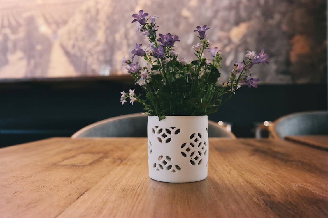 Purple Petaled Flowers on White Jar on Table