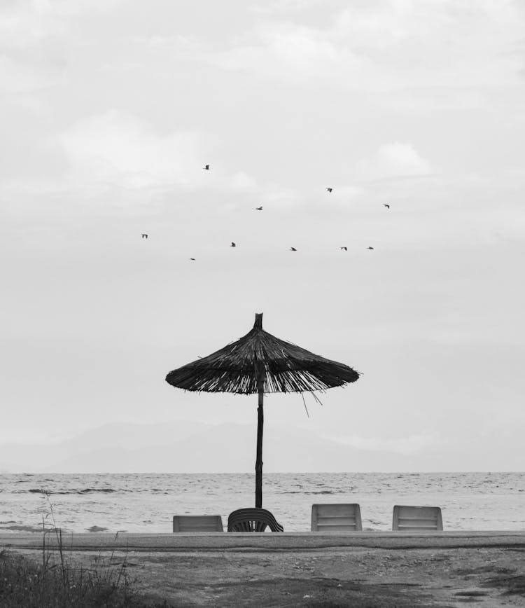 Flock Of Birds Over Beach Umbrella