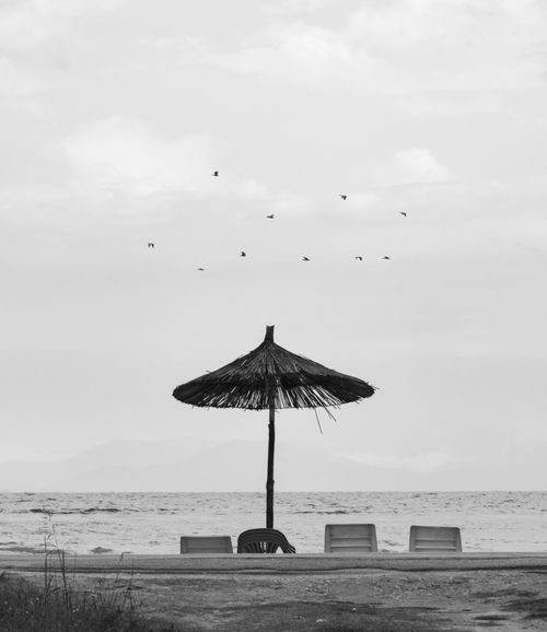 Free Peaceful beach view in Pogradec, Albania with umbrella, chairs, and flying birds in a black and white scene. Stock Photo