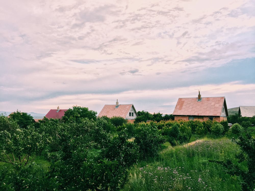 Brown and White House Surrounded by Green Trees Under White Clouds