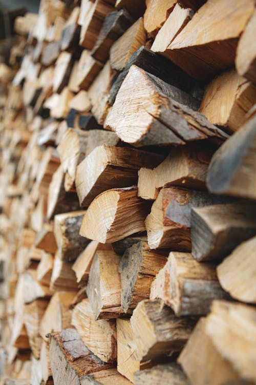 Základová fotografie zdarma na téma dřevo, drsný, hromada dřeva
