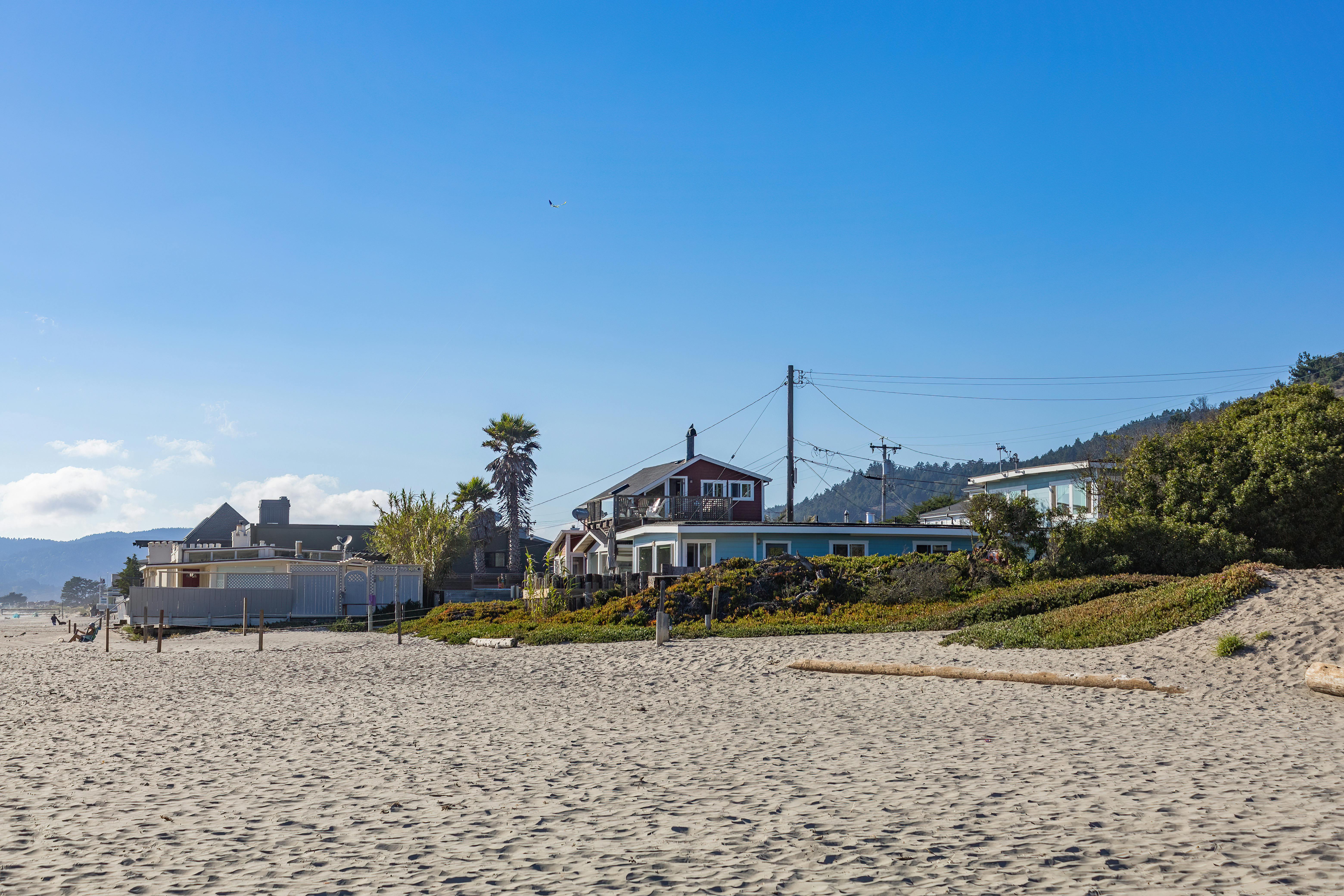 Pest Control for Hamptons and East End Seasonal Homes: Opening and Closing Tips