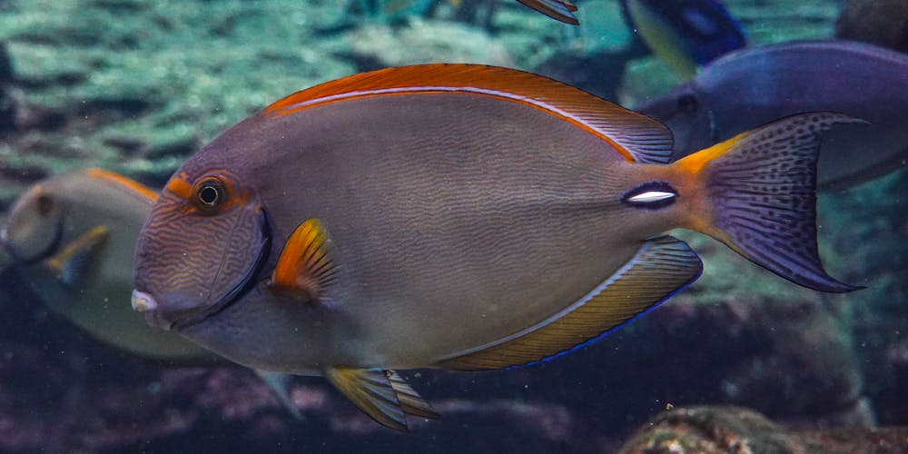 Khám Phá Tiềm Năng Của Nền Tảng huong dan nap tien 789bet - Một Bước Tiến Mới Trong Thế Giới Trò Chơi Trực Tuyến