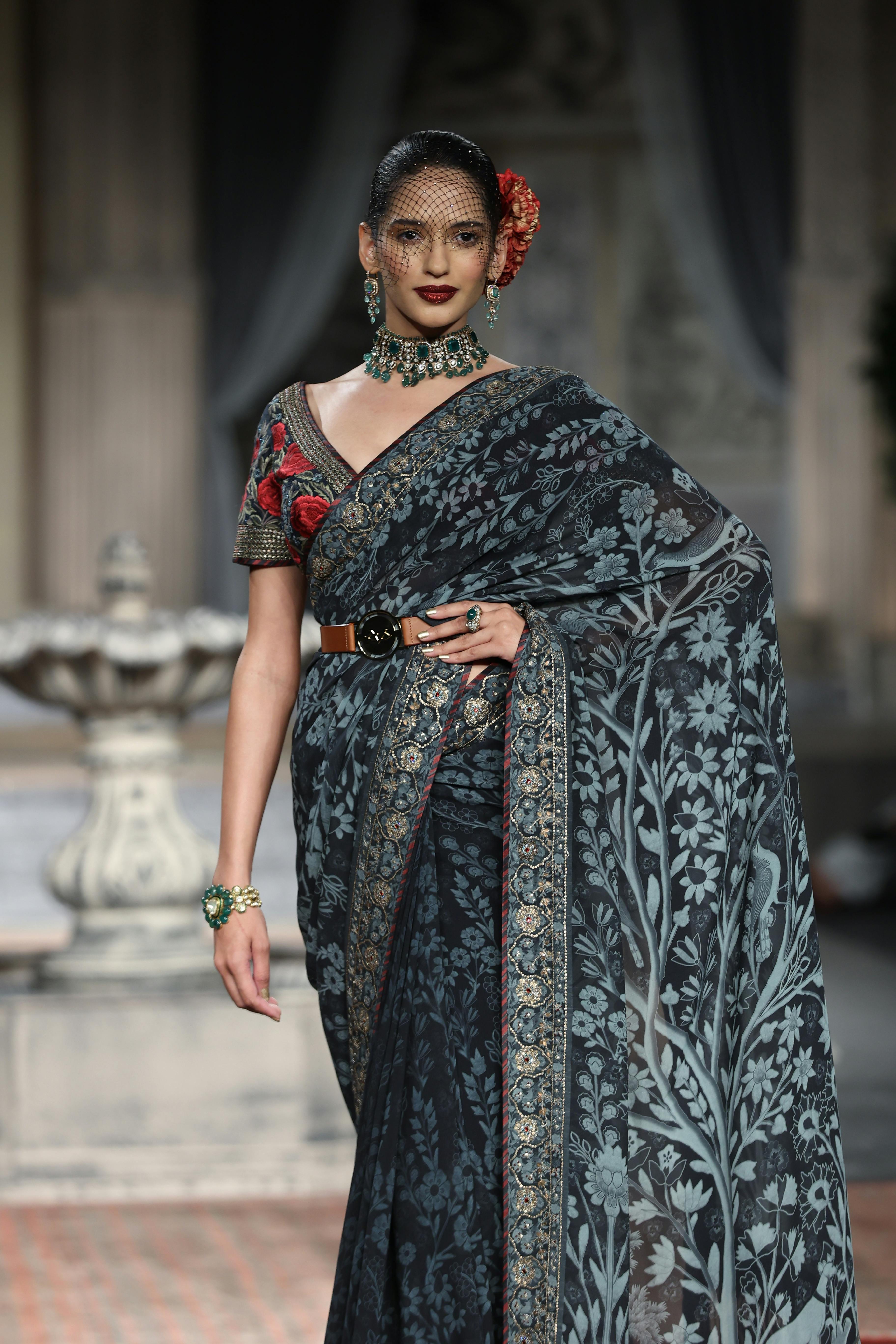 Standing Woman Wearing Saree Dress  Free Stock Photo
