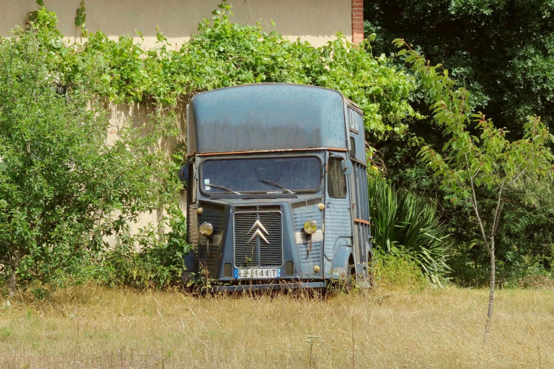 An abandoned vintage Citroën truck nestled in an overgrown garden, showcasing rustic charm and decay.