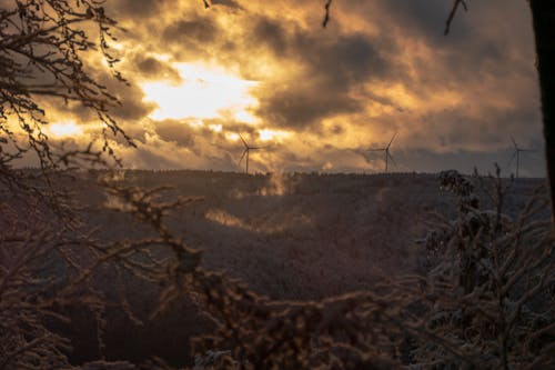 Kostnadsfri bild av alternativ energi, elektricitet, energikris